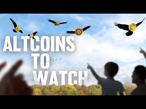 Top Altcoins To Watch (BREAKING Crypto News)