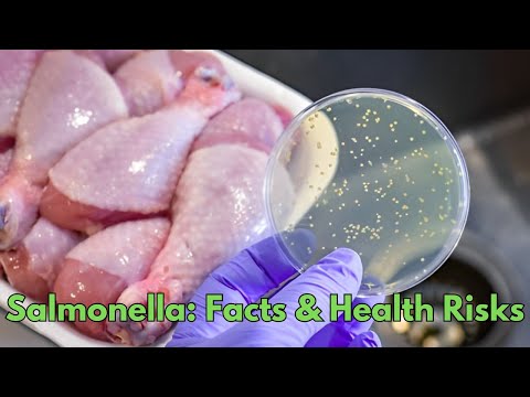 Salmonella: Facts &amp; Health Risks