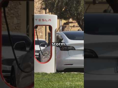 Tesla Investors PANIC! Why Elon Musk Can’t Stop the Stock Plunge