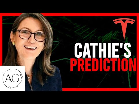 Cathie Wood&#039;s Top 5 AI Stocks for 2024