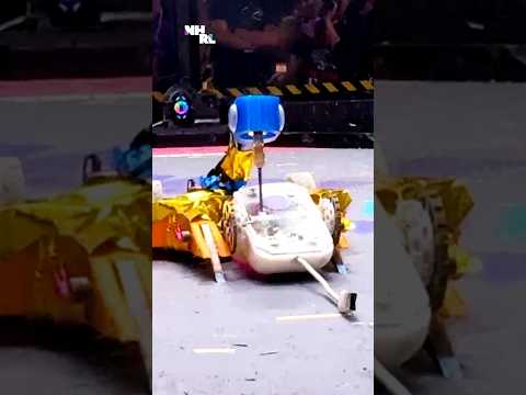 Drilling bird robot commits unspeakable crime