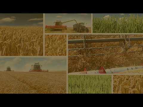 Understanding Precision Agriculture using Data and Analytics