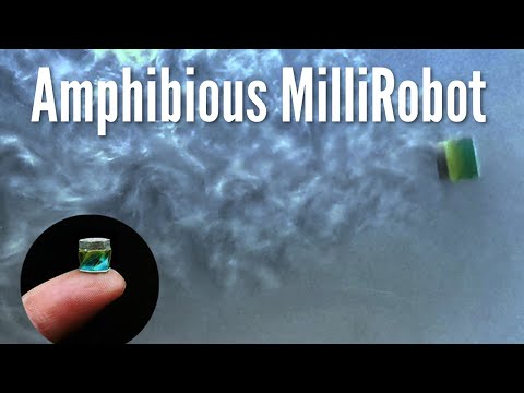 Spinning-enabled wireless amphibious origami millirobot for targeted drug delivery