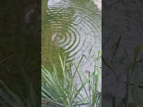 The Ripple Effect