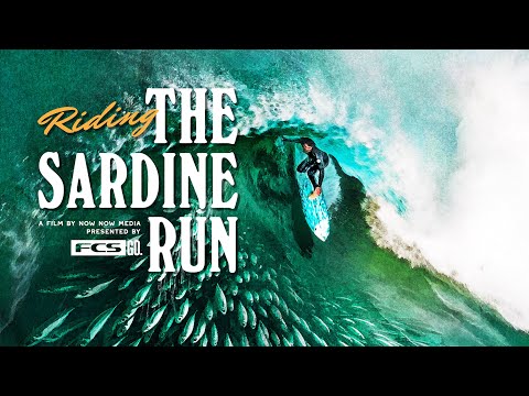 Riding the Sardine Run | The wildest surfing adventure on Earth