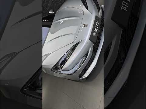 BYD Yangwang U7 |Land Maglev Train