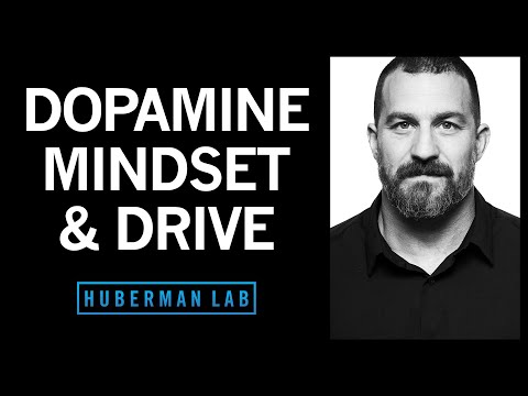 Controlling Your Dopamine For Motivation, Focus &amp; Satisfaction