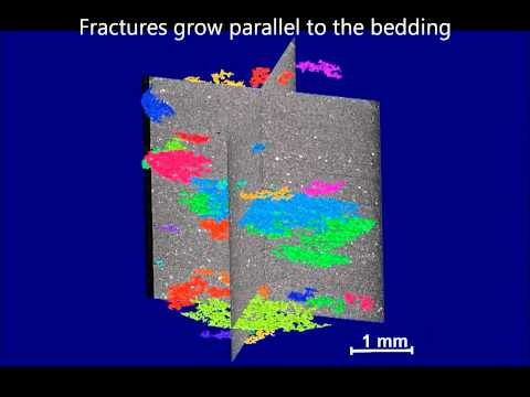 3D X-ray microtomography imaging of shales