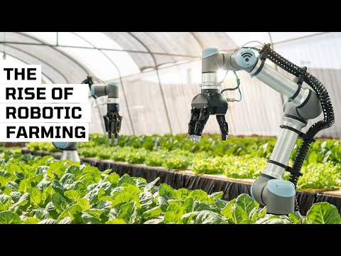 The Rise of Robotic Farming:How AI and Automation Are Revolutionizing Agriculture