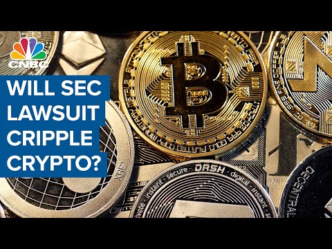 SEC lawsuit will cripple crypto: Ripple CEO