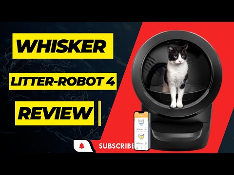 Whisker Litter-Robot 4 Review: Pet Care Revolution!