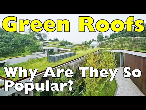 The Rise of Green Roofs: Trend or the Future of Sustainable Living?