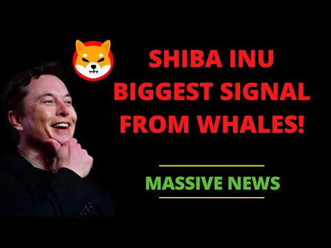 SHIBA INU GETTING INCREDIBLE SIGNALS FROM WHALES!!