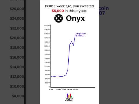 POV: if you invested $5,000 in Onyxcoin 1 week ago... #onyx #onyxcoin #crypto