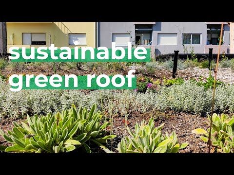 Green Roof For Urban Sustainability