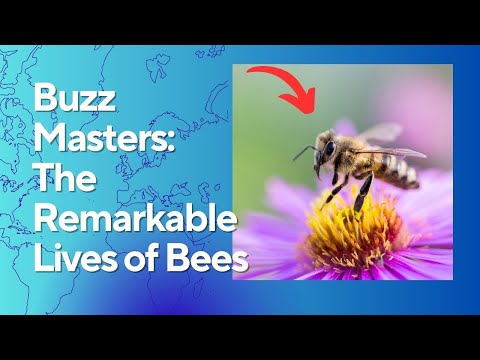 🔥 The Secret Intelligence of Bees: Tiny Buzzing Creatures You Won’t Believe! 🐝 - Animal Adventures