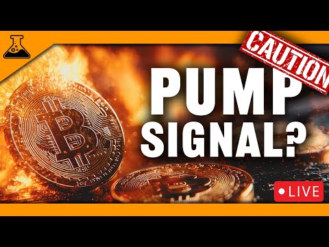 Bitcoin Bottom Signaled? Stock Market Crashing Crypto | Altcoin Max Pain Ahead?