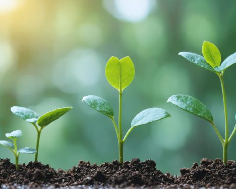 Unlocking the Secrets of Success: How Innovation Drives Growth You Can’t Resist Unlocking the Secrets of Success: How Innovation Drives Growth You Can’t Resist
